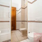 Pronajměte si 4 ložnic/e byt o rozloze 164 m² v Prague