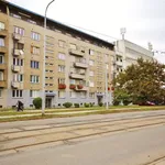 Rent 3 bedroom apartment in Brno