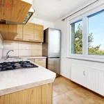 Rent 3 bedroom apartment of 55 m² in Trhový Štěpánov