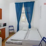 Rent 1 bedroom apartment of 17 m² in Prague