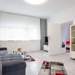 Rent 1 bedroom apartment of 45 m² in Frankfurt