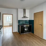 Pronajměte si 1 ložnic/e dům o rozloze 124 m² v České Budějovice