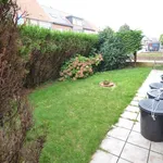 Rent 1 bedroom apartment in Ostend