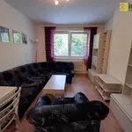 Rent 1 bedroom apartment in Železná Ruda