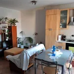 Rent 2 bedroom apartment of 60 m² in Selvazzano Dentro