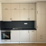 Rent 1 bedroom apartment of 32 m² in Brno