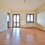 Rent 1 bedroom apartment of 70 m² in Livorno Ferraris