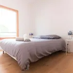 Rent 3 bedroom apartment of 77 m² in Montpellier