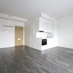 Rent 1 bedroom apartment of 30 m² in kaivokselantie