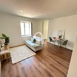 Rent 1 bedroom apartment of 45 m² in Porto