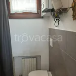 Rent 2 bedroom apartment of 55 m² in Padova