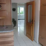 Rent 4 bedroom apartment of 81 m² in Münster