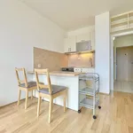 Rent 1 bedroom apartment of 29 m² in Praha 4 - Modřany