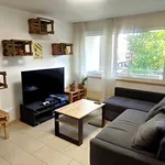 Rent 4 bedroom apartment in Bern