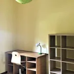 Rent a room in coimbra