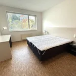 Rent 1 bedroom apartment in Praha 5