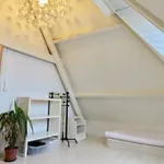 Huur 1 slaapkamer appartement van 45 m² in Den Haag