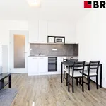 Rent 1 bedroom apartment of 28 m² in Brno