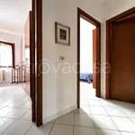 Rent 3 bedroom apartment of 70 m² in Rosignano Marittimo