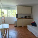 Rent 1 bedroom apartment of 30 m² in Málaga