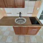 Rent 1 bedroom apartment of 34 m² in Ostrava