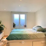 Rent 1 bedroom apartment in Gent