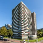 Huur 3 slaapkamer appartement van 100 m² in Kleurenbuurt