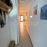 Rent 2 bedroom apartment of 75 m² in Canazei