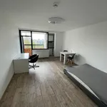 Miete 1 Schlafzimmer wohnung von 30 m² in Nürnberg