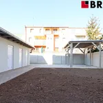 Rent 1 bedroom apartment of 35 m² in Brno