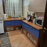 Rent 5 bedroom house of 175 m² in Rome