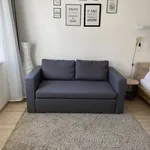 Rent 1 bedroom apartment of 34 m² in Ostrava