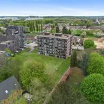 Rent 1 bedroom apartment in SINT-TRUIDEN