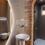 Rent 3 bedroom apartment of 110 m² in Vicenza