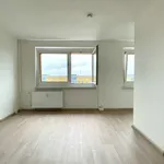 Rent 1 bedroom apartment of 33 m² in Chemnitz