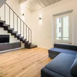 Rent 2 bedroom apartment of 100 m² in florence