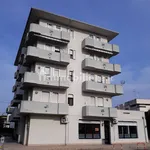 Rent 5 bedroom apartment of 110 m² in Rovigo