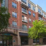 Rent 1 bedroom apartment in Austin