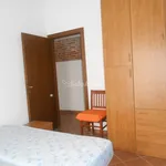 Rent 2 bedroom apartment of 40 m² in Pavia