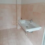 Rent 3 bedroom apartment of 70 m² in Cuneo