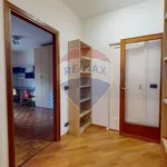 Rent 3 bedroom apartment of 100 m² in Perugia