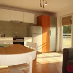 Rent 1 bedroom apartment of 37 m² in Poznan