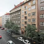 Pronajměte si 1 ložnic/e byt o rozloze 30 m² v Prague