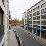 Rent 1 bedroom apartment of 43 m² in Dresden