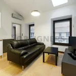 Rent 1 bedroom apartment of 45 m² in Brno