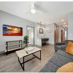 Rent 1 bedroom apartment in Austin