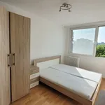 Pronajměte si 4 ložnic/e byt o rozloze 43 m² v Prague