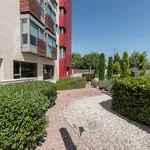 Rent 1 bedroom apartment of 60 m² in Madrid