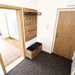 Rent 3 bedroom apartment in Brno