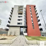 Rent 2 bedroom apartment of 64 m² in Praha